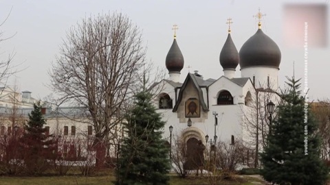 Такие удивительные добровольцы