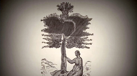 В пространстве книги