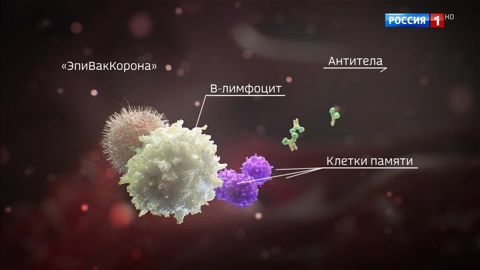 Вакцины
