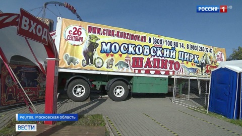 Цирк в Реутове, где медведь напал на ребенка, проверяет прокуратура