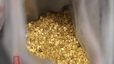 В Якутии оперативники пресекли нелегальную добычу золота