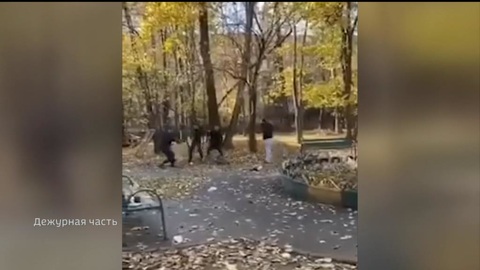 Столичные полицейские открыли огонь в воздух, чтобы успокоить дебоширов