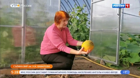Эфир от 21.10.2020 (05:00)
