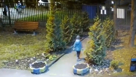Забор и охрана не помогли: из московского детсада пропал ребенок