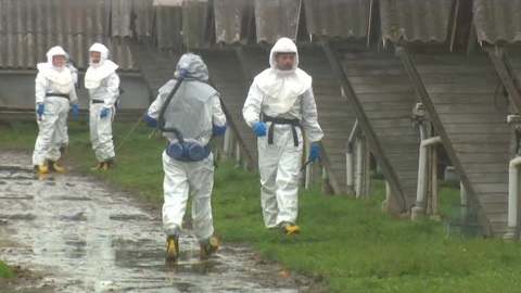Хроники коронавируса: в Дании обнаружили новую мутацию COVID-19