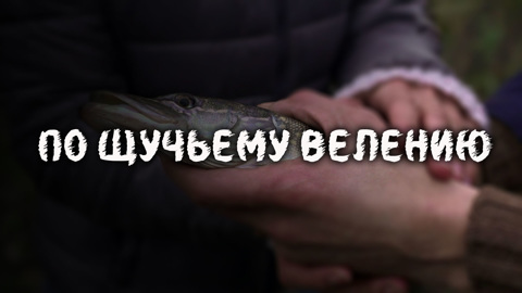 Художественный фильм
