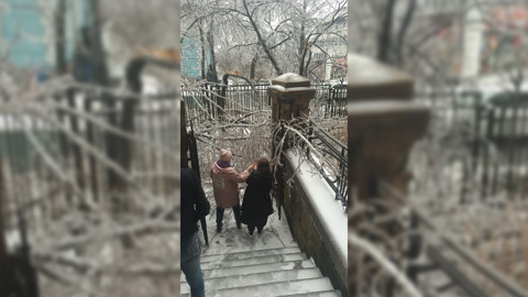 Ледяной веткопад во Владивостоке побил машины и оборвал линии электропередачи