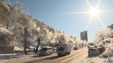 В Красноярске за ночь выпало более 30% от месячной нормы осадков