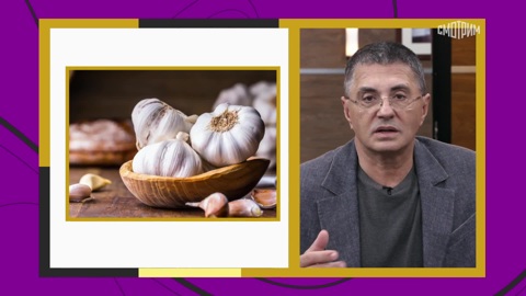Что такое пирамида правильного питания – мнение доктора Мясникова