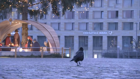 Эфир от 14.12.2020