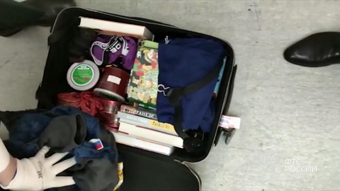 У пассажира в Шереметьеве нашли 33 тысячи евро в подкладке чемодана и визитнице
