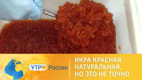 Новогодняя подделка: что продают под видом красной икры
