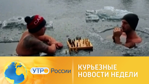 Курьезные новости недели
