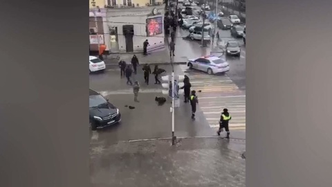 Двое террористов ликвидированы в Грозном