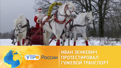 Лошадиная сила удачи – Иван Зенкевич протестировал гужевой транспорт
