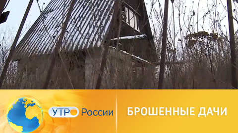 Брошенные дачи: с какими проблемами сталкиваются соседи