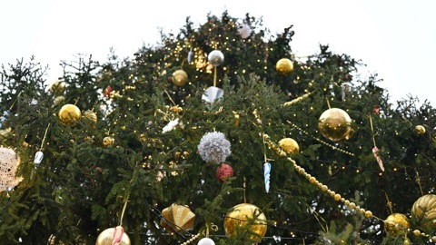 Главную новогоднюю елку страны отправили из Кремля на переработку