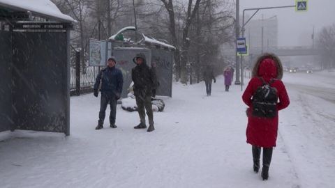 В Приморье во время снегопада зафиксировали 77 ДТП