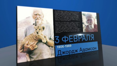 Календарь. 3 февраля 2021 года