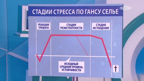 "Тренировка": Мясников объяснил, чем полезен стресс