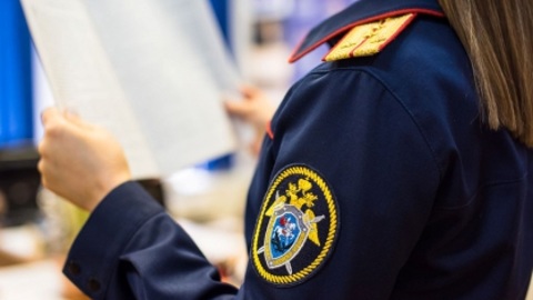 В Москве возбудили дело об истязании ребенка в частном детском саду