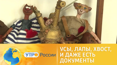 Художник-керамист из Астрахани делает куклы котов