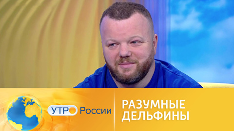 Госдума рассмотрит зконопроект о запрете дельфинариев
