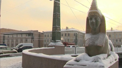 В Санкт-Петербурге вандалы повредили скульптуры сфинксов на Египетском мосту