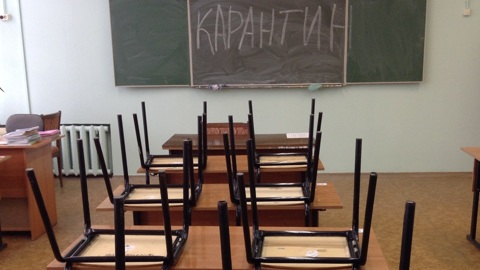 Российские регионы смягчают карантин