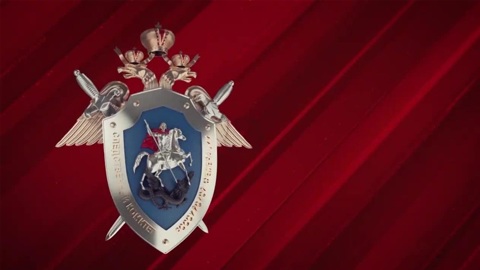 СК России «За кулисами протеста»