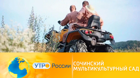 В Сочи разбили огромный мультикультурный сад