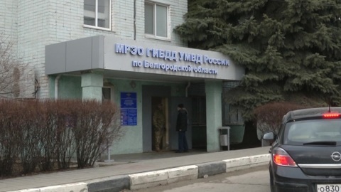 Белгородские полицейские продавали водительские права