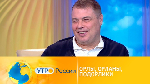 Орлы, орланы, подорлики: разговор о птицах с Иваном Затевахиным