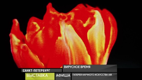 Афиша. 30 марта 2021 года