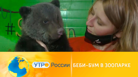 Беби-бум в Сибирском зоопарке