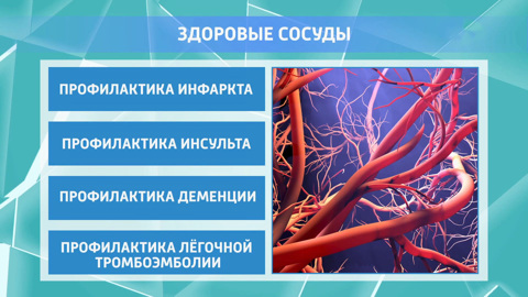 Защита от деменции: что нужно есть для здоровых сосудов