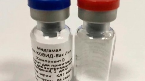В России оценили эффективность "Спутника V" при вакцинации животных