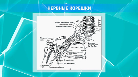 Врач объяснил, почему возникает онемение в конечностях