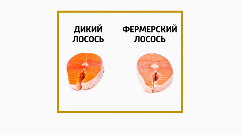 Мясников: омега-3 поможет в борьбе с последствиями коронавируса