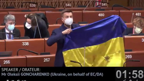 Украинскому депутату отключили микрофон в ПАСЕ под аплодисменты