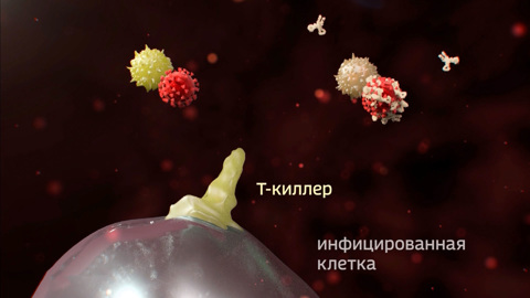 Антитела не показатель: в России разработали еще один тест