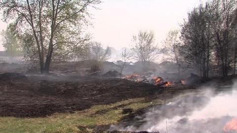 Количество природных пожаров в Тюменской области за сутки увеличилось на 13