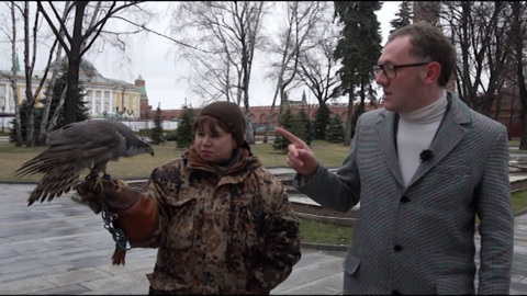 Звери Москвы: птицы