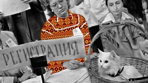Звери Москвы: коты и кошки