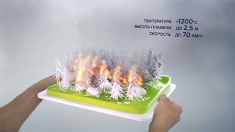 Лесные пожары