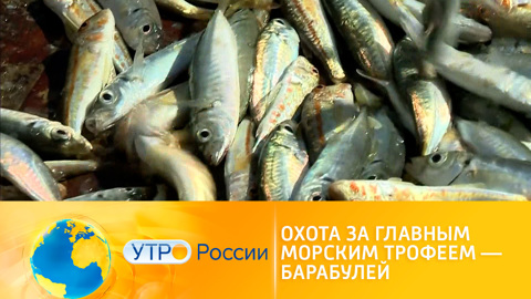 Барабулька – черноморский деликатес