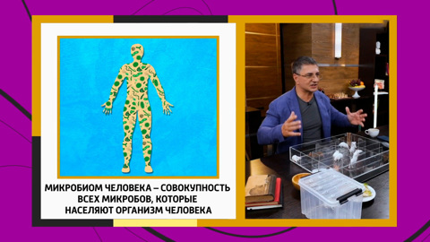 Мясников озвучил простые истины о микробиоме