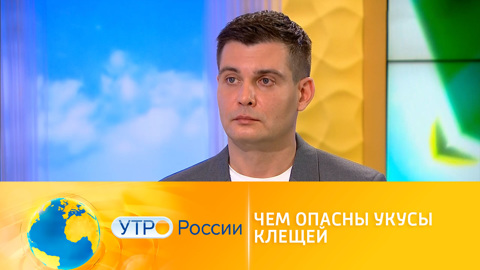 Что делать при укусе клеща?