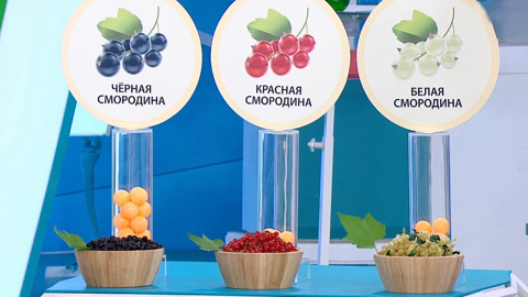 Ягода молодости и красоты: какая смородина наиболее полезна