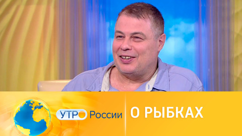 Рыбы способны запоминать лица людей